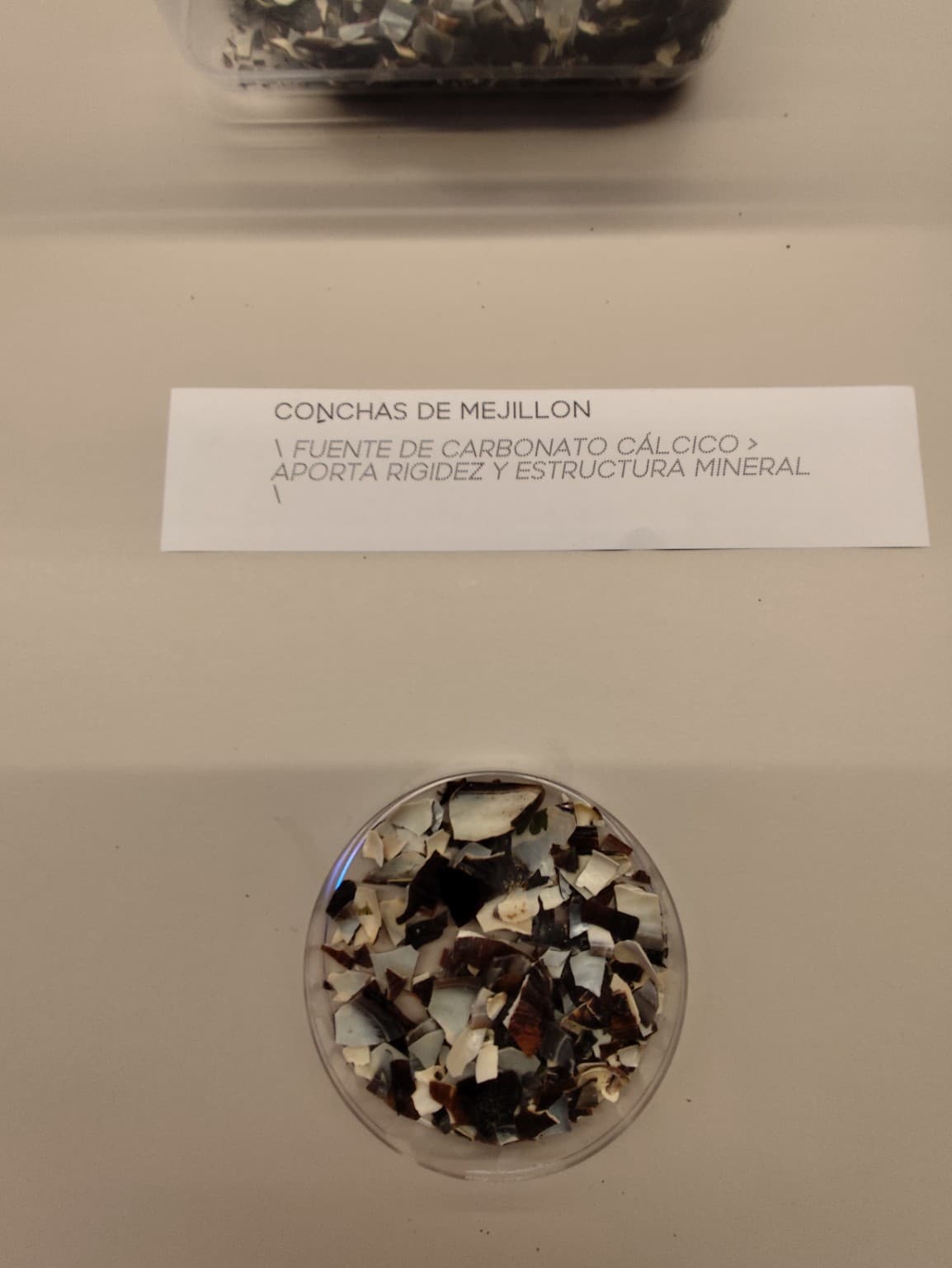 Conchas de mejillón presentadas como fuente de carbonato cálcico en LCI Barcelona.